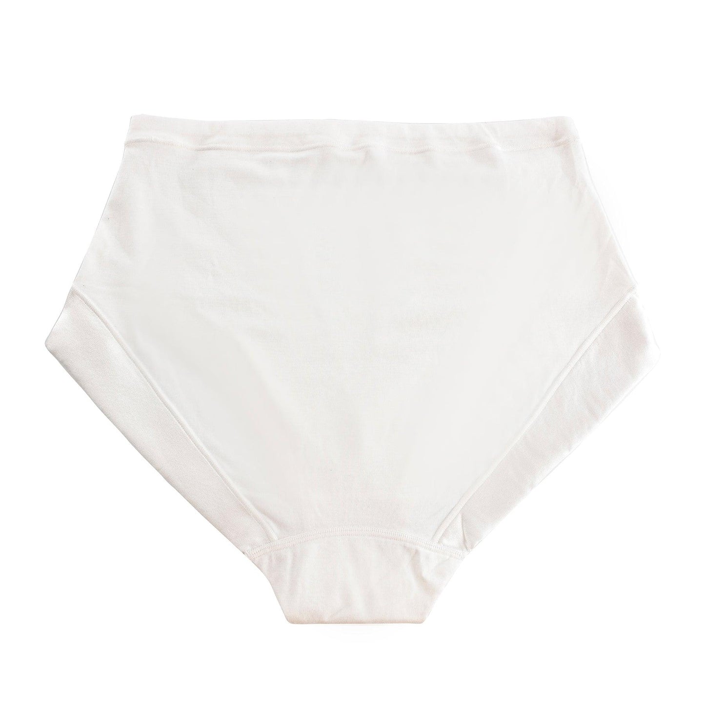 Silk & Organic Cotton Full Brief — Clean Slate